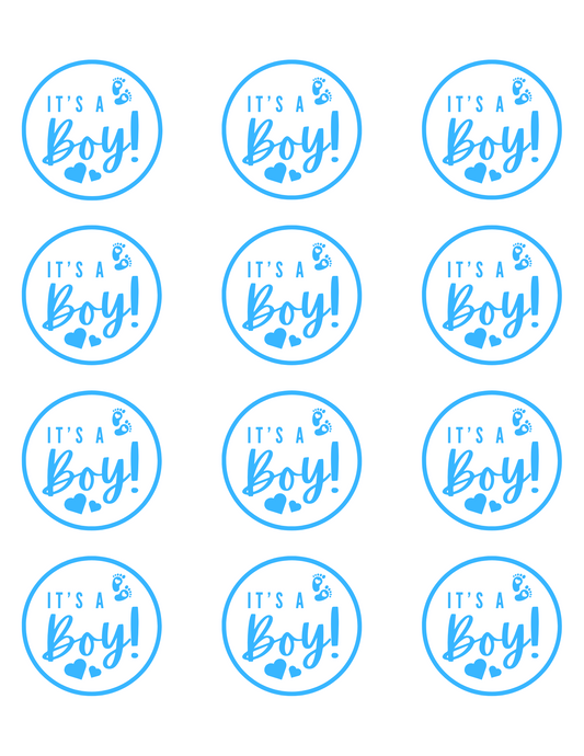 Boy Baby Shower Pre-Designed Template